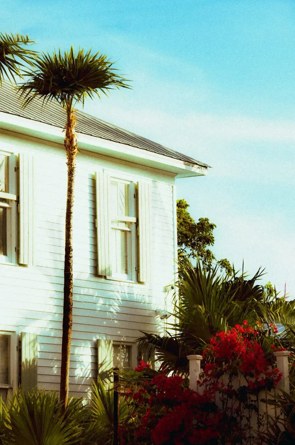 White Florida home with a palm tree out front